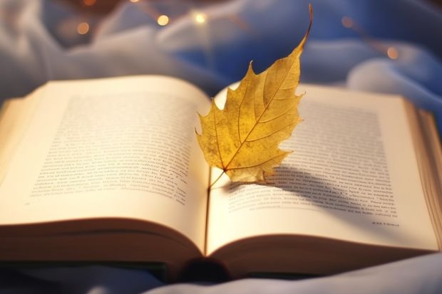 吴忠师范职业技术学院小教的录取分数线是多少？