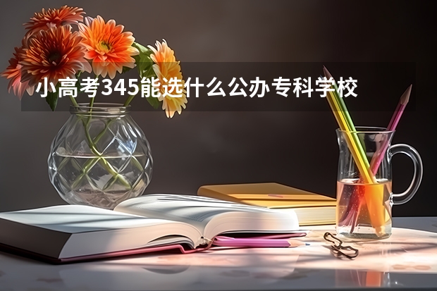 小高考345能选什么公办专科学校