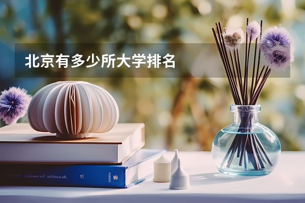 北京有多少所大学排名