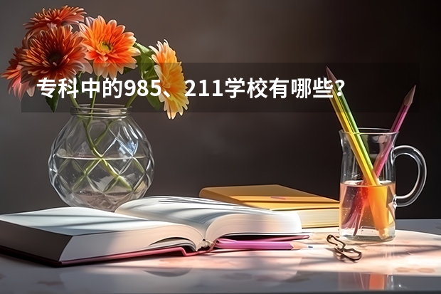 专科中的985、211学校有哪些？