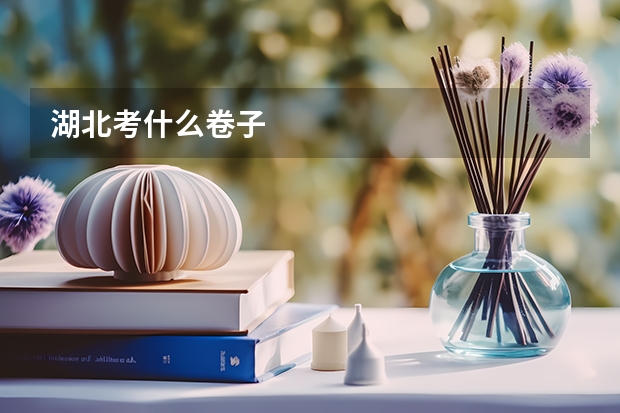 湖北考什么卷子