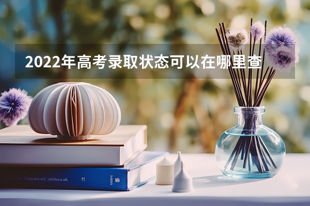 2022年高考录取状态可以在哪里查询 怎么查询