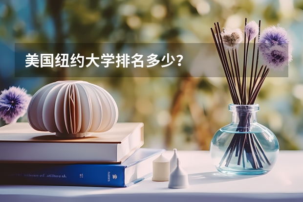 美国纽约大学排名多少？