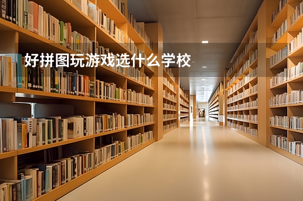 好拼图玩游戏选什么学校