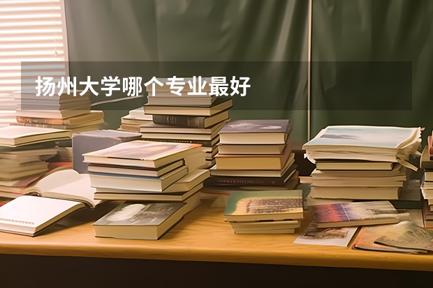 扬州大学哪个专业最好
