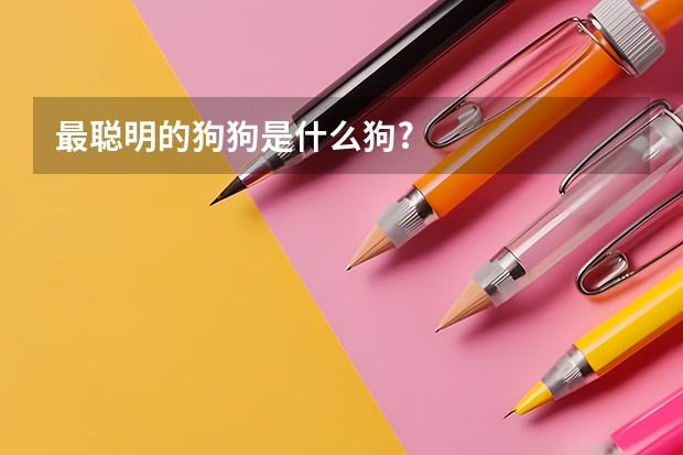 最聪明的狗狗是什么狗?
