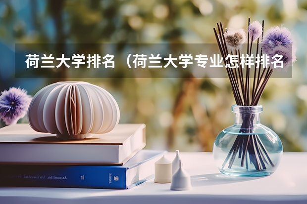 荷兰大学排名（荷兰大学专业怎样排名）
