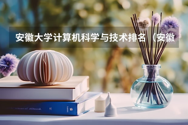 安徽大学计算机科学与技术排名（安徽理工大学王牌专业）