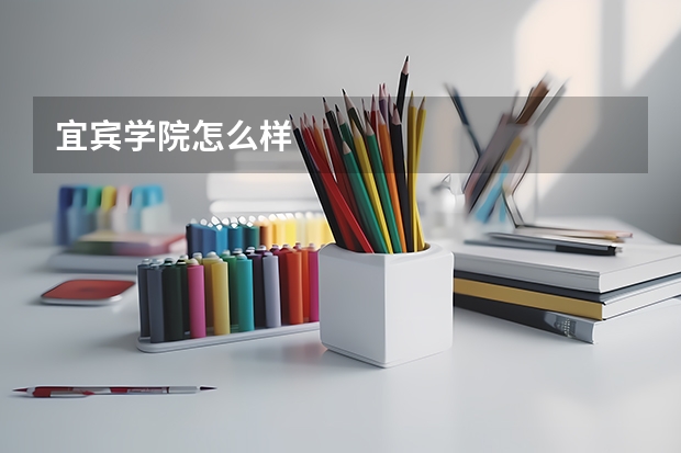 宜宾学院怎么样