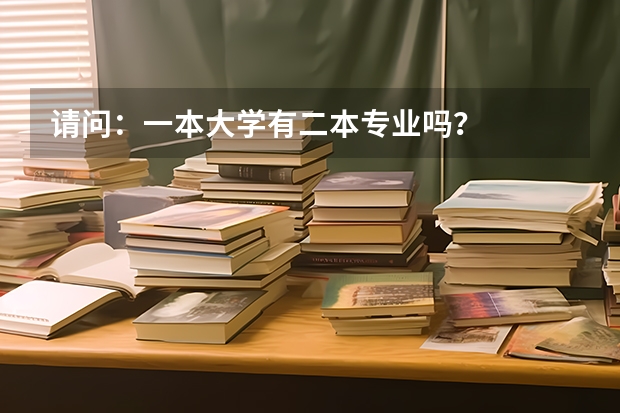 请问：一本大学有二本专业吗？