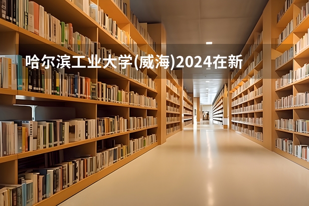 哈尔滨工业大学(威海)2024在新疆招生计划（招生人数）