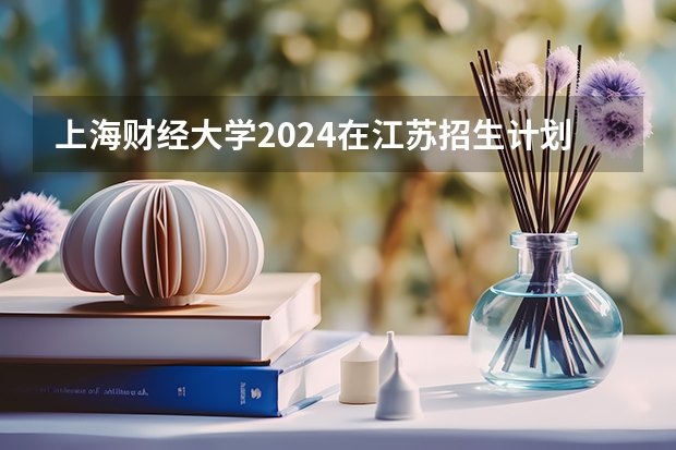 上海财经大学2024在江苏招生计划（招生人数）