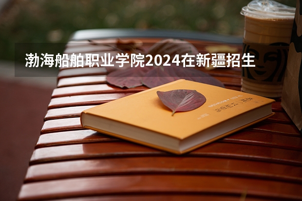 渤海船舶职业学院2024在新疆招生计划（招生人数）