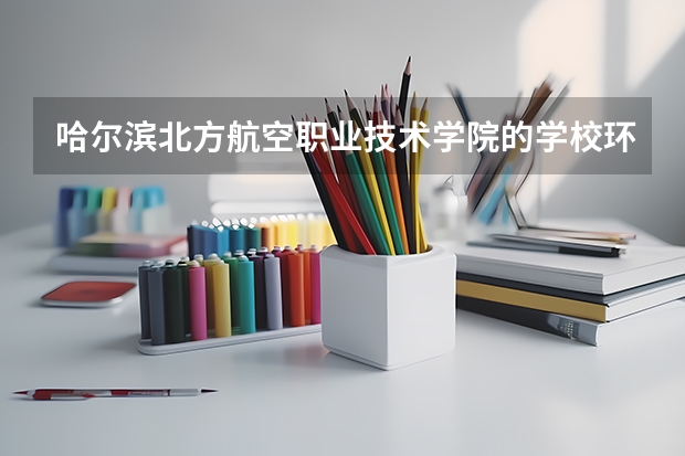 哈尔滨北方航空职业技术学院的学校环境怎么样？