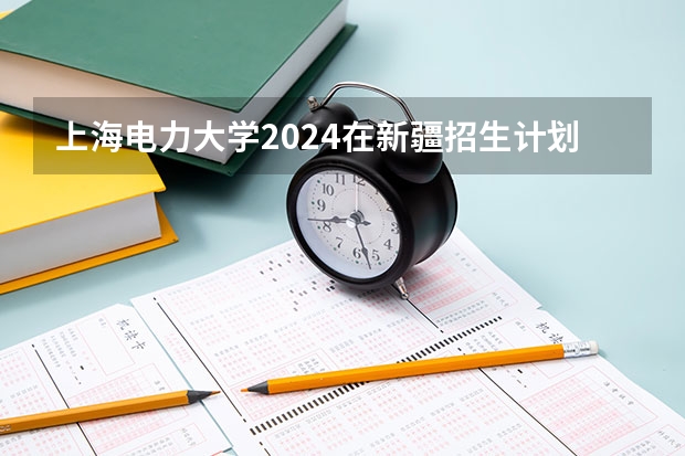 上海电力大学2024在新疆招生计划（招生人数）