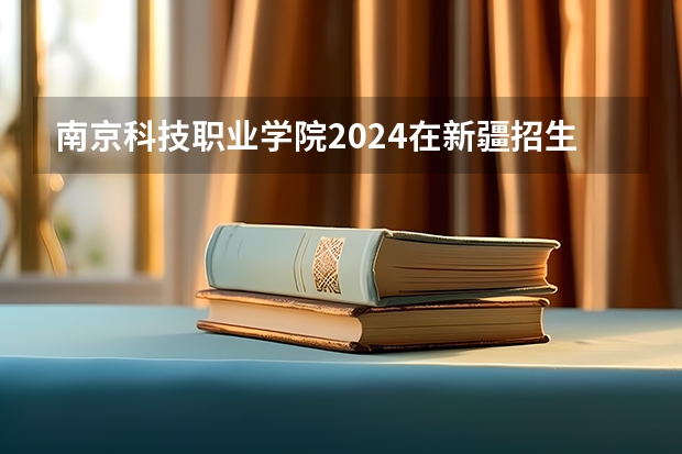 南京科技职业学院2024在新疆招生计划（招生人数）