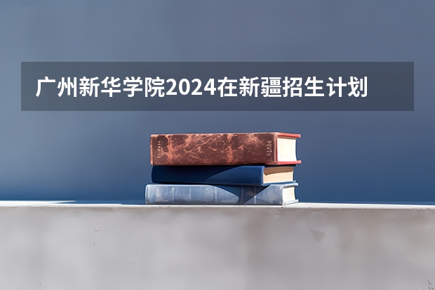 广州新华学院2024在新疆招生计划（招生人数）