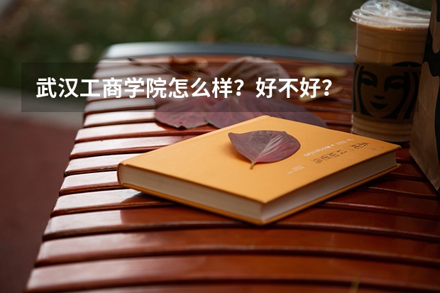 武汉工商学院怎么样？好不好？