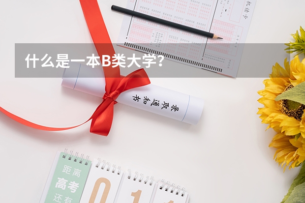 什么是一本B类大学？