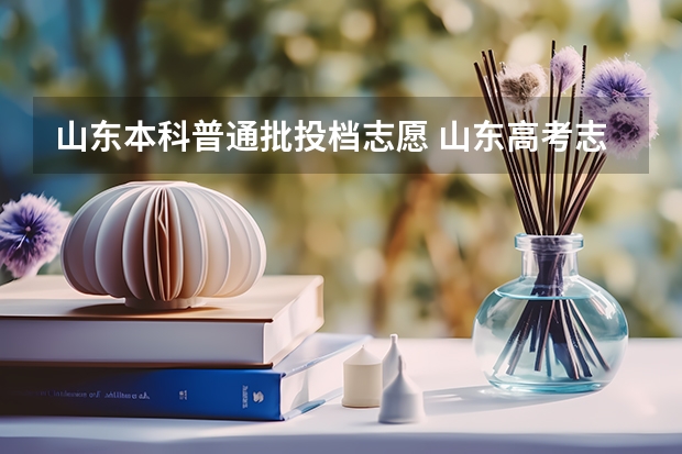 山东本科普通批投档志愿 山东高考志愿录取规则及方法