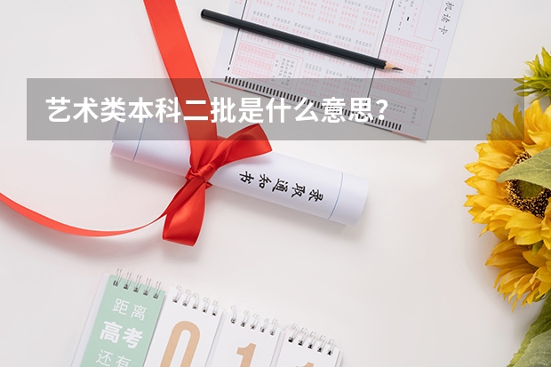 艺术类本科二批是什么意思？