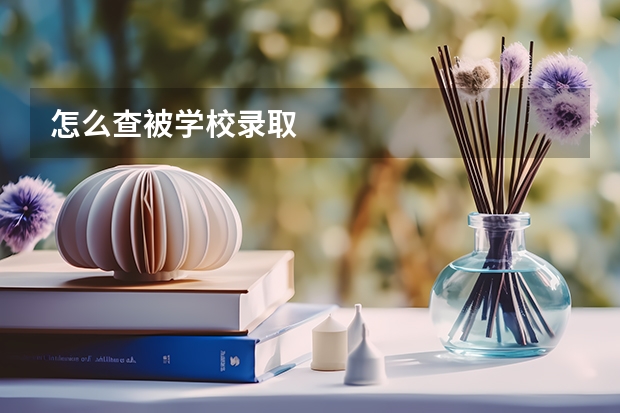 怎么查被学校录取