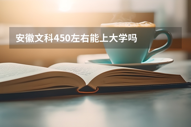 安徽文科450左右能上大学吗