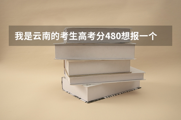 我是云南的考生高考分480想报一个本省二本软件工程怎么报比较稳，急求！马上就快报志愿了