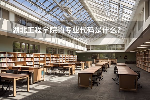 湖北工程学院的专业代码是什么?