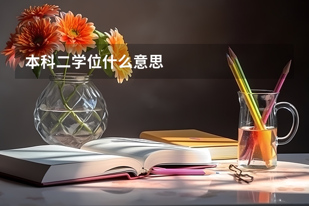 本科二学位什么意思