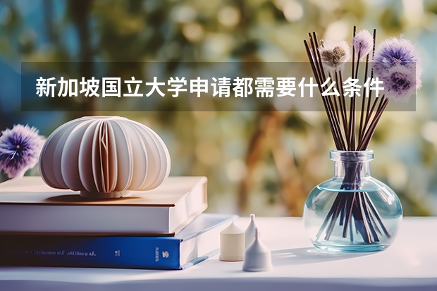 新加坡国立大学申请都需要什么条件