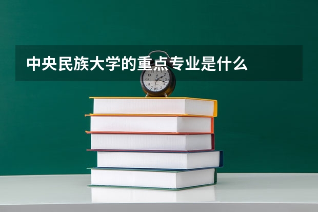 中央民族大学的重点专业是什么