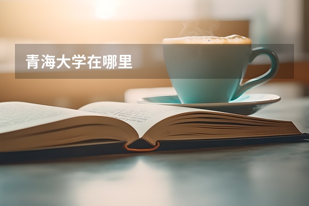 青海大学在哪里