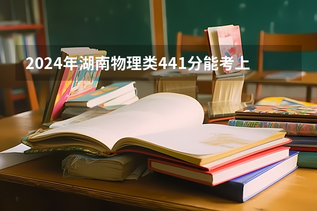 2024年湖南物理类441分能考上什么大学？