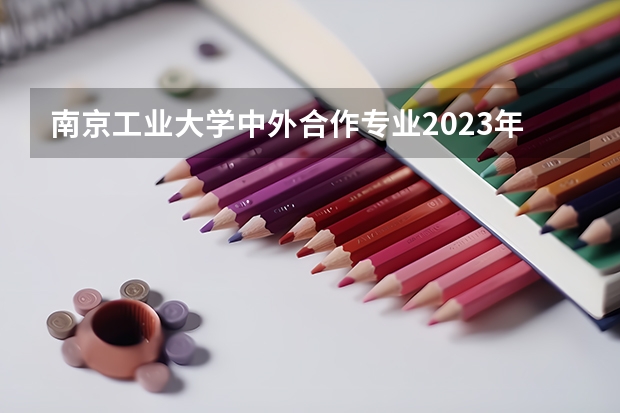 南京工业大学中外合作专业2023年分数线是多少？