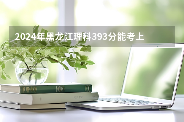 2024年黑龙江理科393分能考上什么大学？