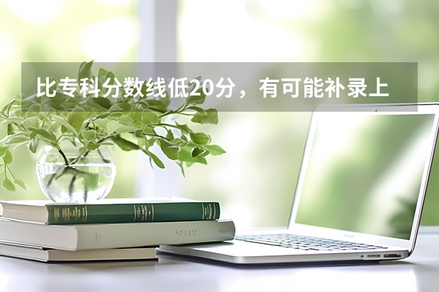 比专科分数线低20分，有可能补录上统招学校吗？河北廊坊的考生