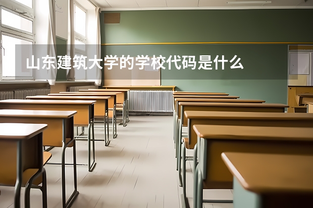 山东建筑大学的学校代码是什么