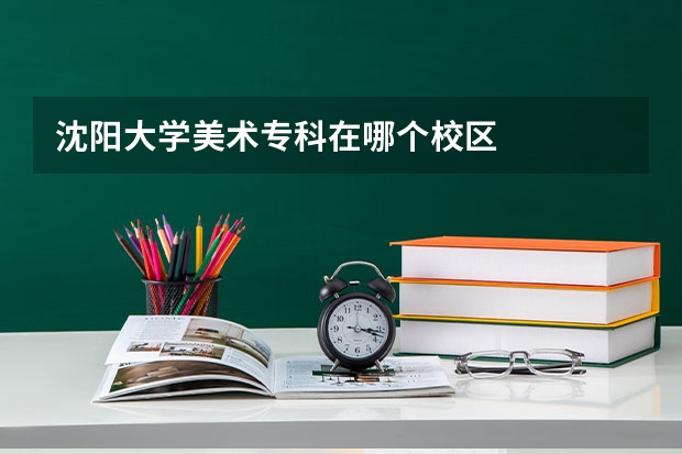 沈阳大学美术专科在哪个校区