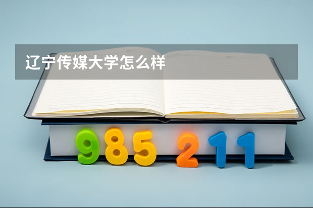辽宁传媒大学怎么样