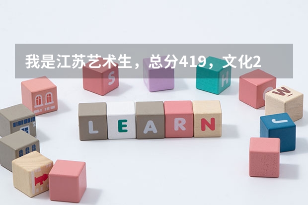 我是江苏艺术生，总分419，文化217，专业202，能上什么本科学校吗？