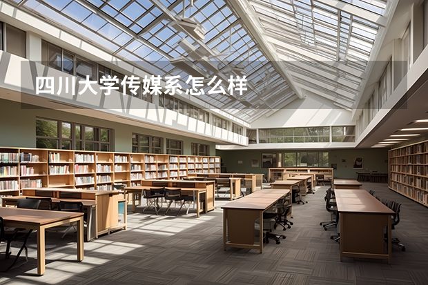 四川大学传媒系怎么样