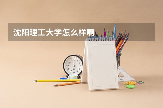 沈阳理工大学怎么样啊
