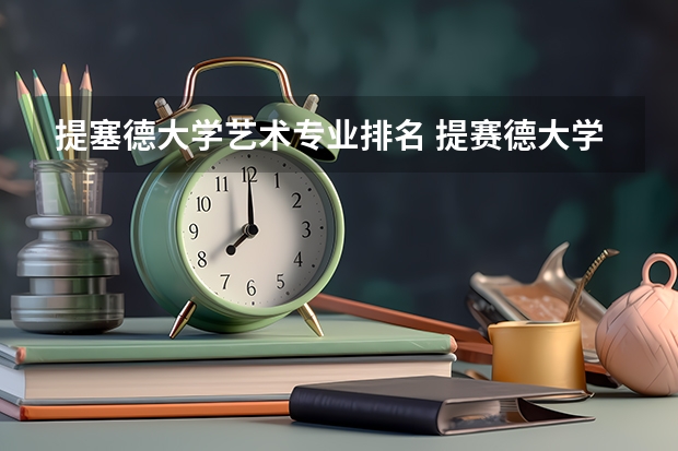 提塞德大学艺术专业排名 提赛德大学在哪个城市