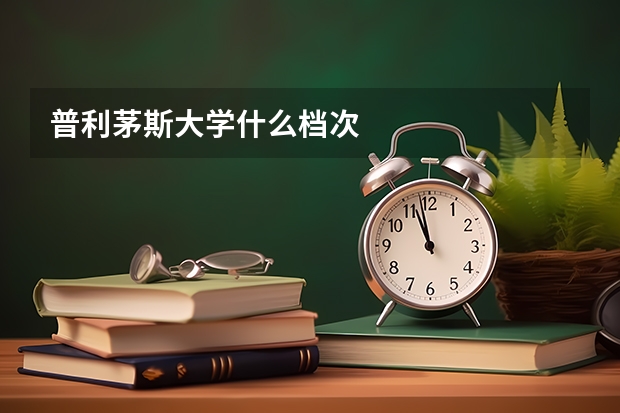 普利茅斯大学什么档次