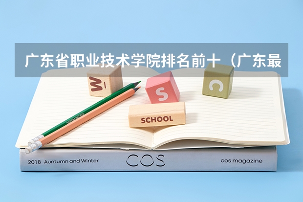 广东省职业技术学院排名前十（广东最好的专科学校排名）