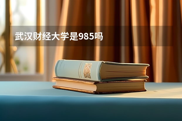 武汉财经大学是985吗